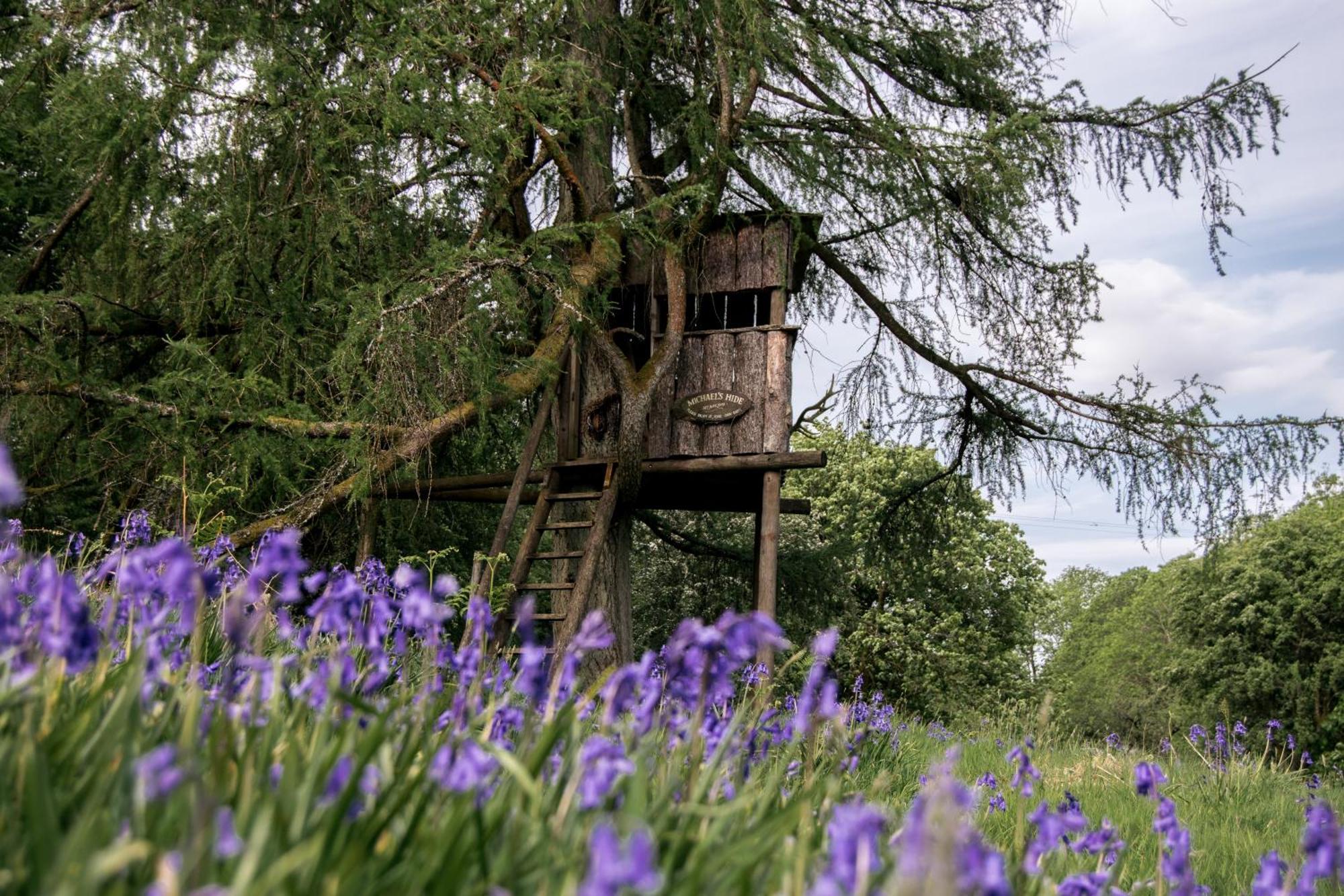 Hotel Wild Boar Estate Bowness-on-Windermere Esterno foto