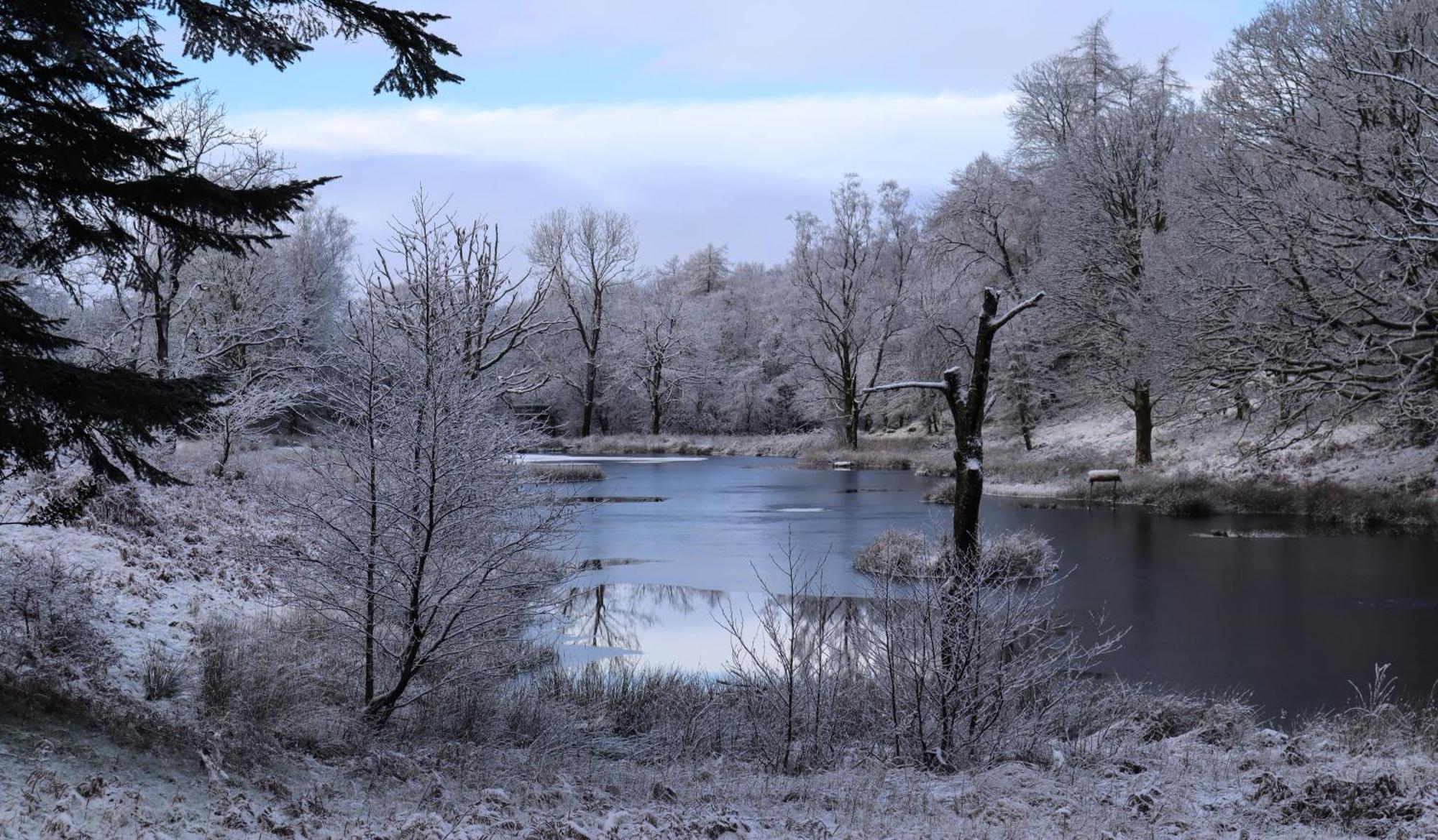 Hotel Wild Boar Estate Bowness-on-Windermere Esterno foto
