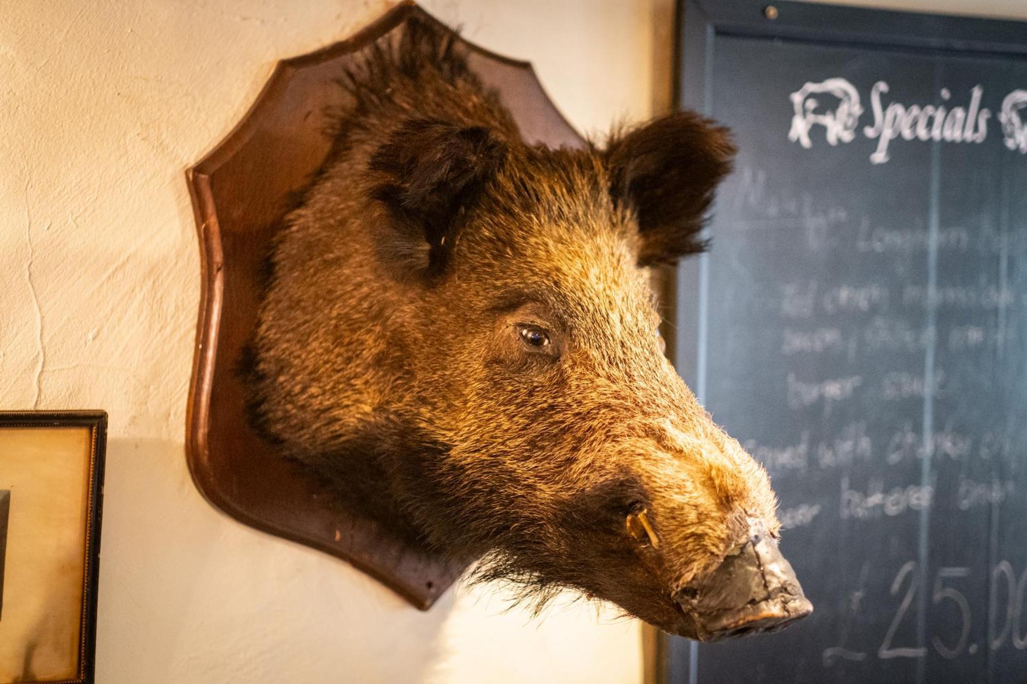 Hotel Wild Boar Estate Bowness-on-Windermere Esterno foto