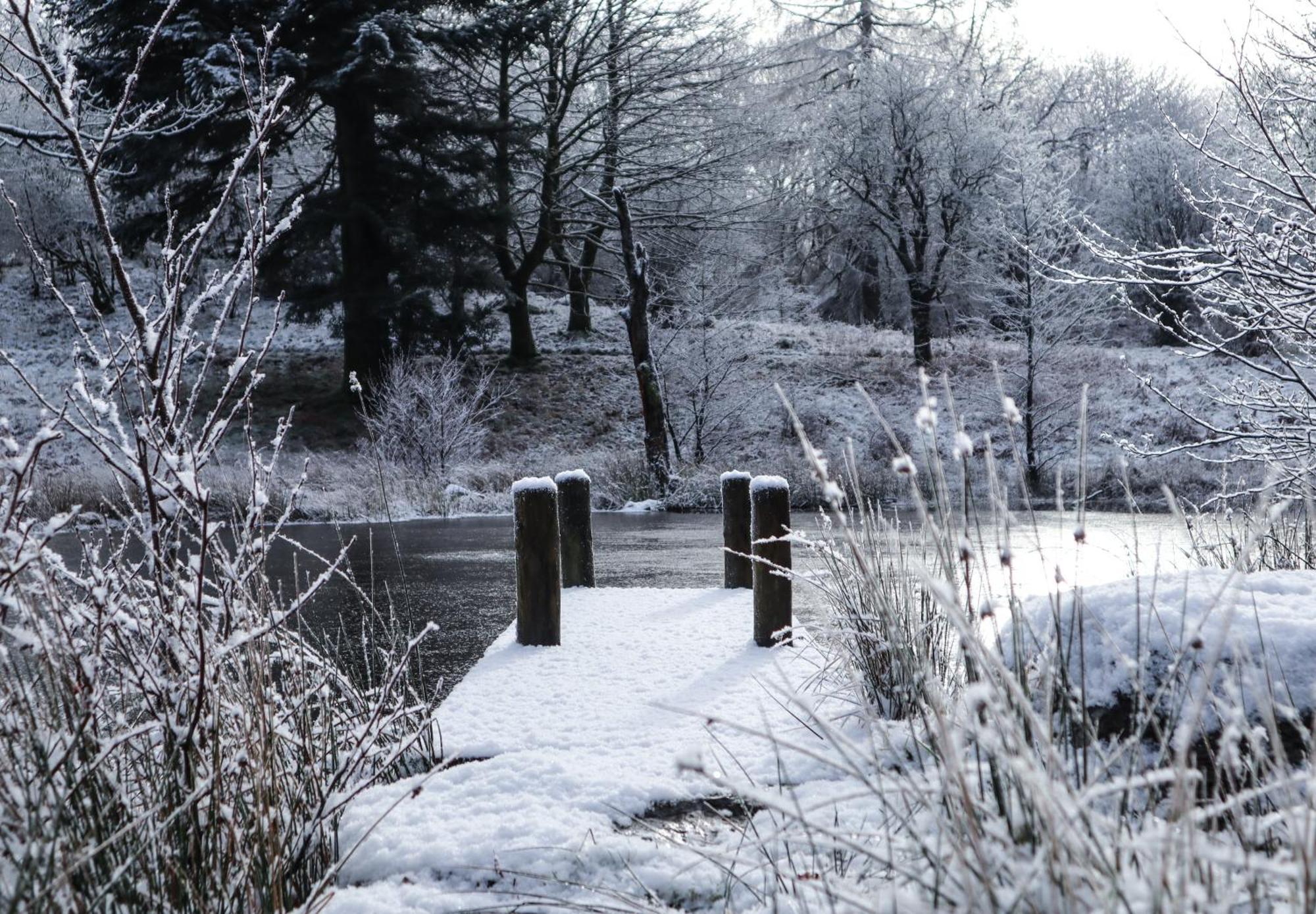 Hotel Wild Boar Estate Bowness-on-Windermere Esterno foto